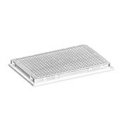 Thin Wall, Skirted PCR Plate